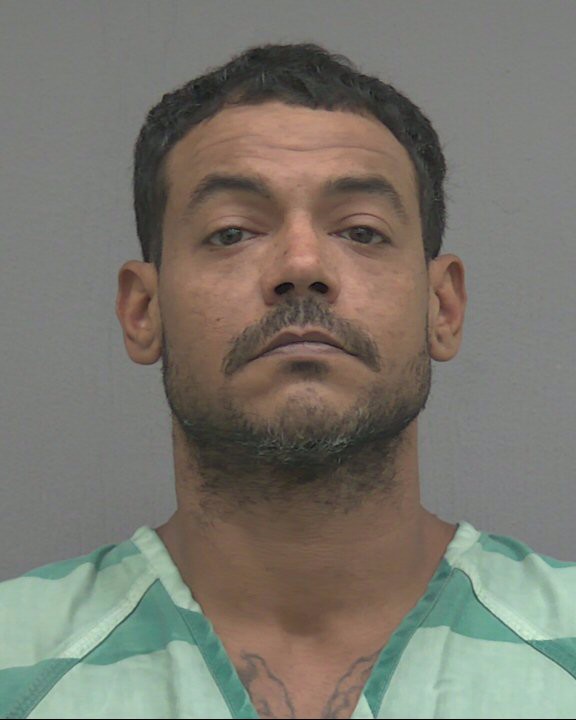 Booking photo of Wilton Nova