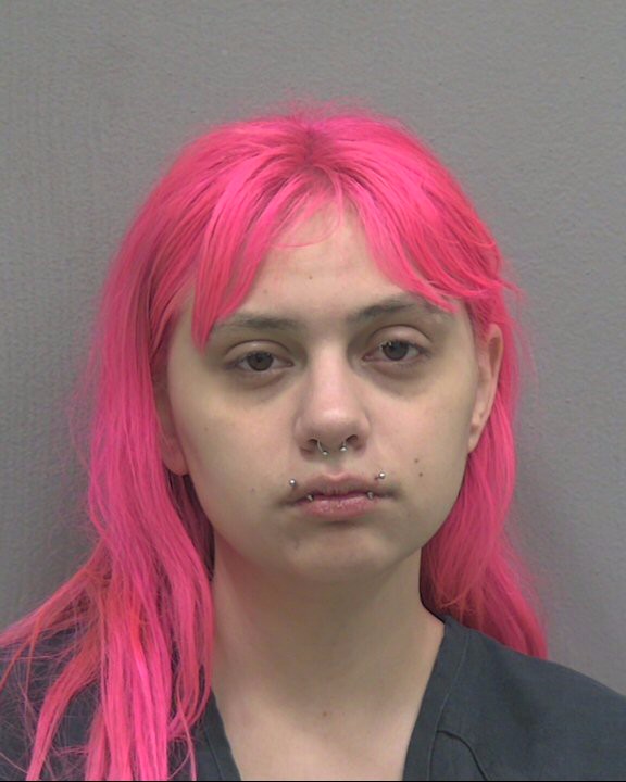 Booking photo of Haley Galvez