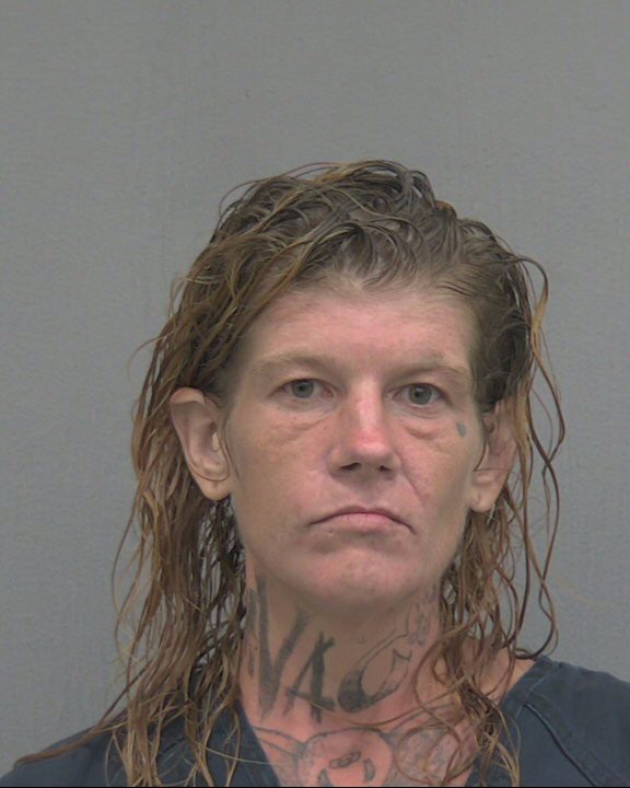 Booking photo of Megan Jones