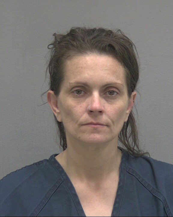 Booking photo of Jerryanne Agre