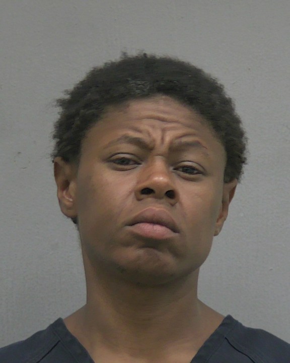Booking photo of Ebony Sanni
