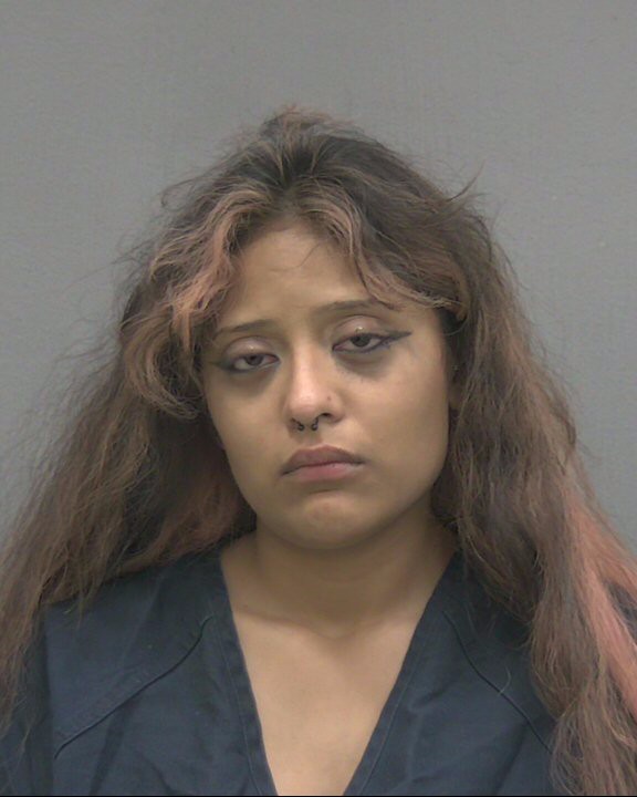 Rebecca Lopez booking photo