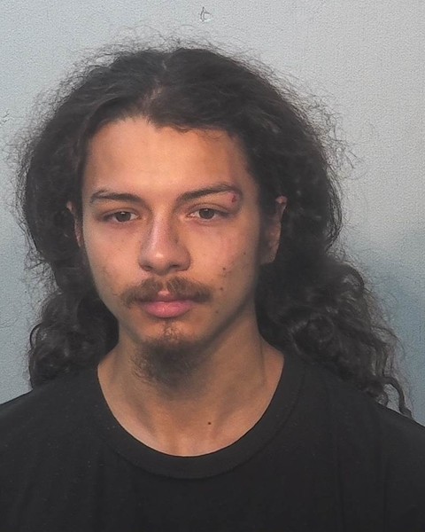 Julian Alvarez booking photo
