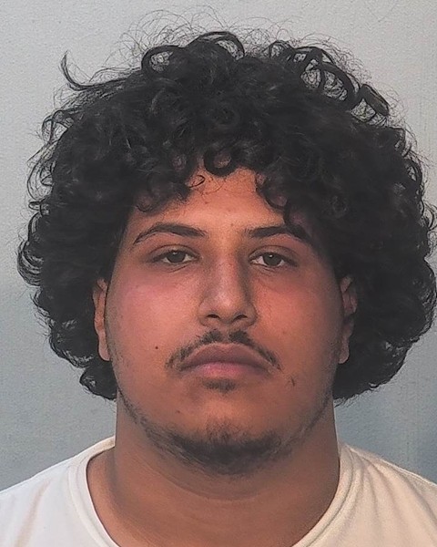 Booking photo of David Khalil