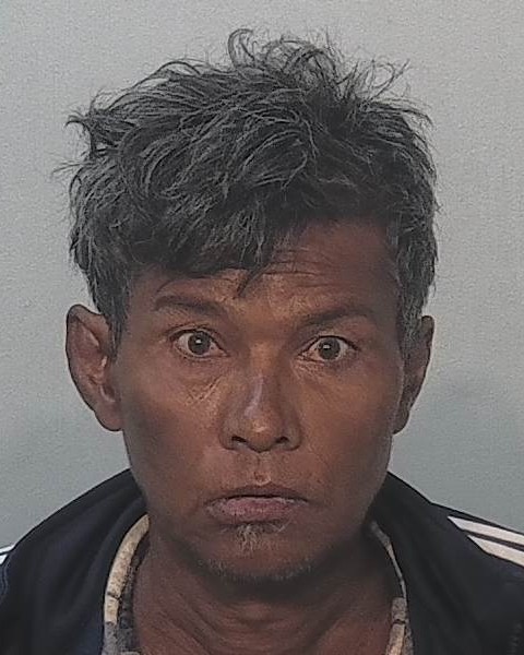 Booking photo of Ha Ned