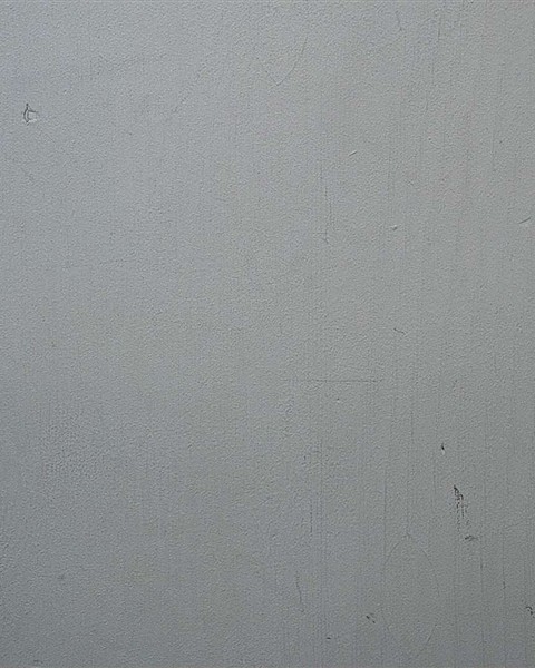 Booking photo of Shakiya Collier