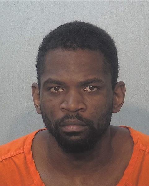 Booking photo of Dion Mcintosh