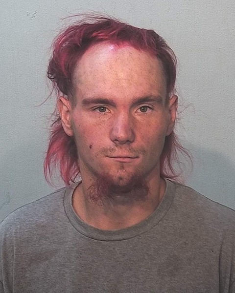 Booking photo of Dallas Schwartz