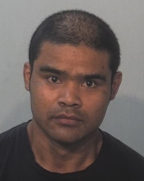 Booking photo of Sar Li