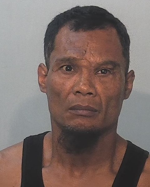 Booking photo of Aung Lay