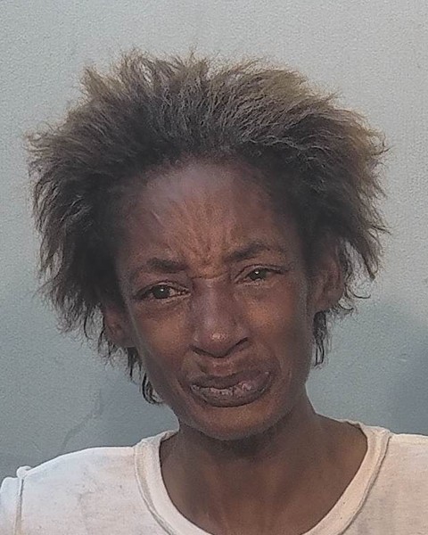 Booking photo of Lynnette Nowlin