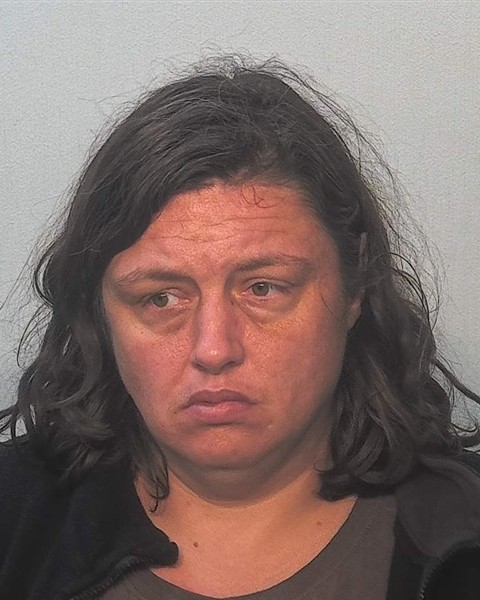 Booking photo of Amber Tirmenstein