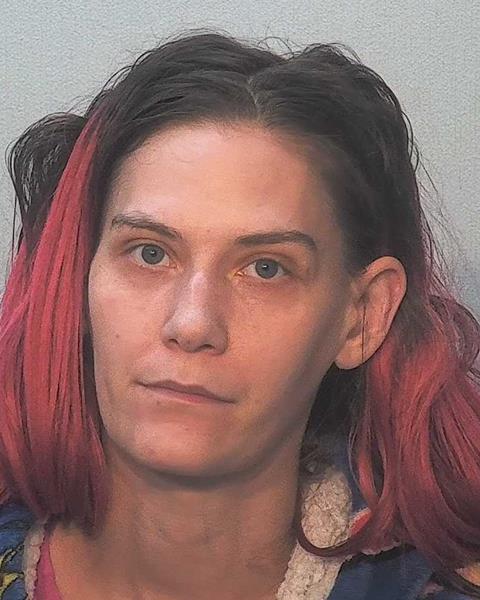 Booking photo of Ashley Fromm