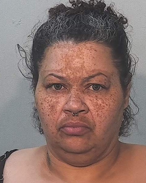 Booking photo of Sarah Hudson