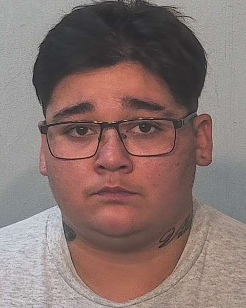 Booking photo of Esperanza Villafana