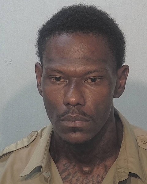 Booking photo of Bryan Fields