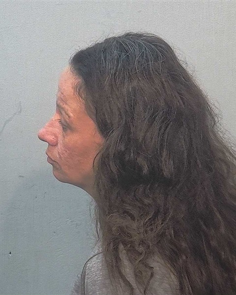 Booking photo of Windy Vredenburg