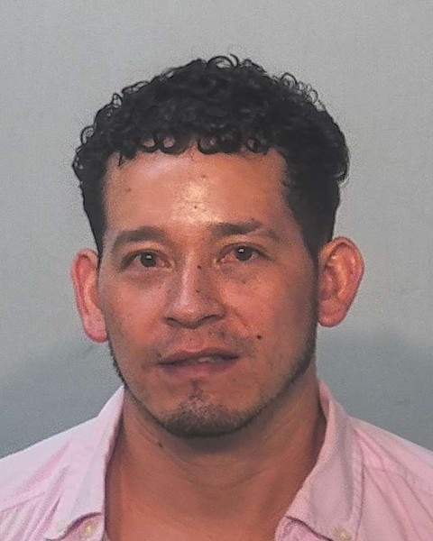 Darwin Castillo booking photo
