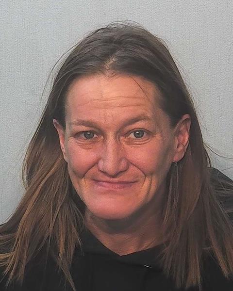 Booking photo of Heather Brickey