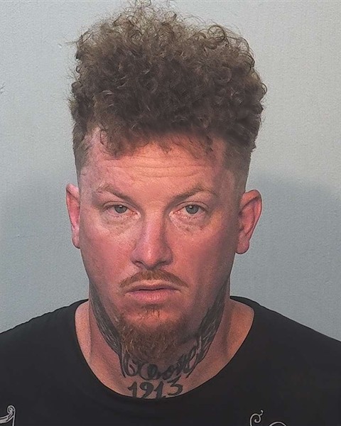 Booking photo of Cameron Richardson