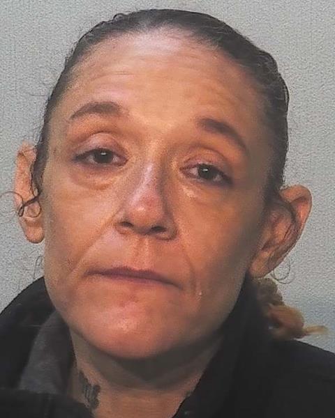 Booking photo of Erin Hutchins