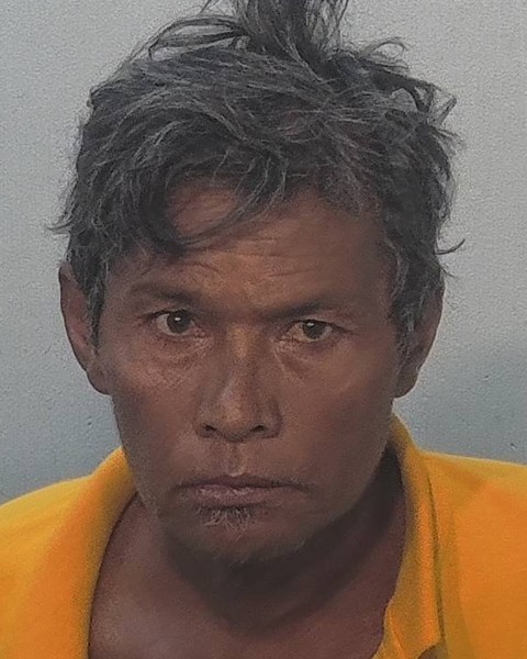 Booking photo of Ha Ned