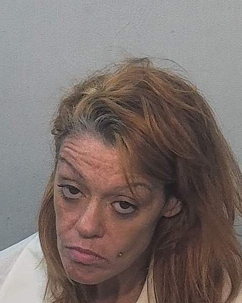 Booking photo of Tasha Lewis