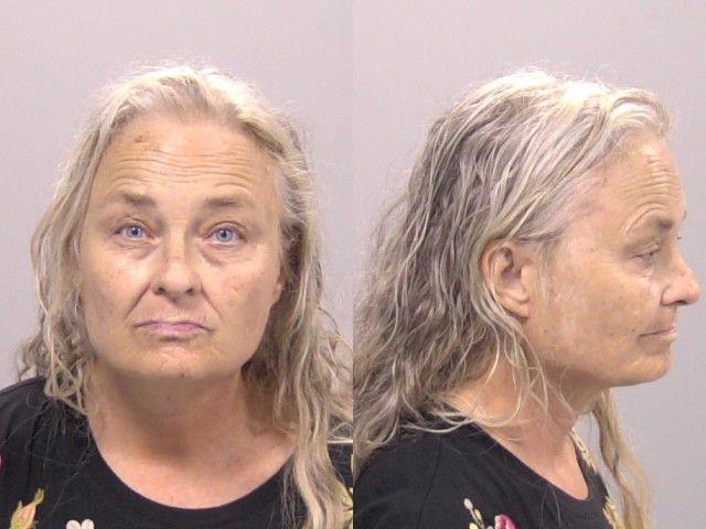 Booking photo of Jill Triplett