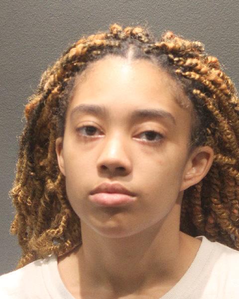 Booking photo of Brianna Fitzworme
