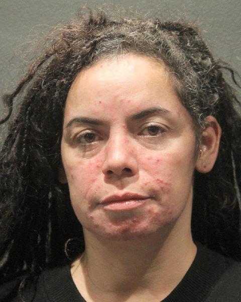 Booking photo of Megan Cogliandolo