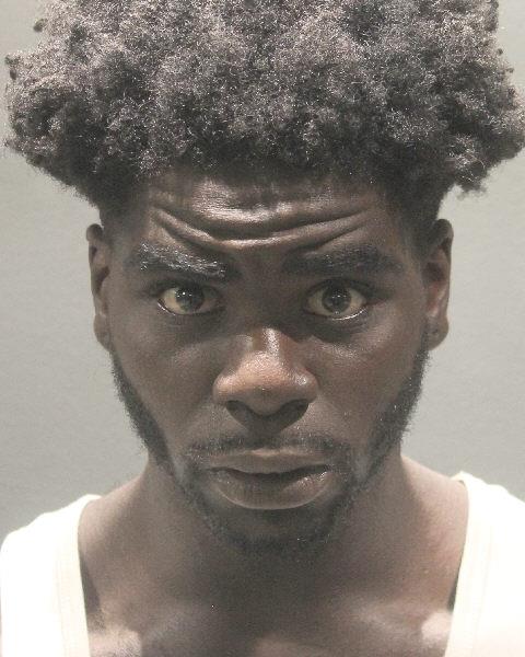 Theo Zimmerman Barbare booking photo