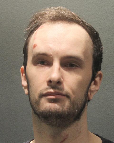 Booking photo of Logan Nitchie