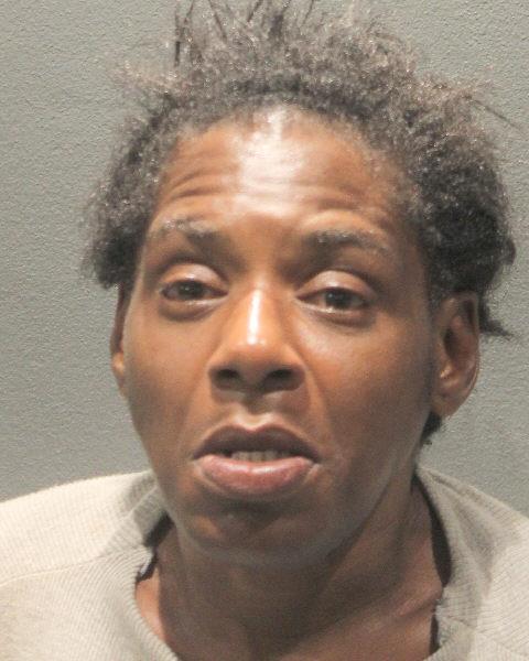 Booking photo of Sandra Holt