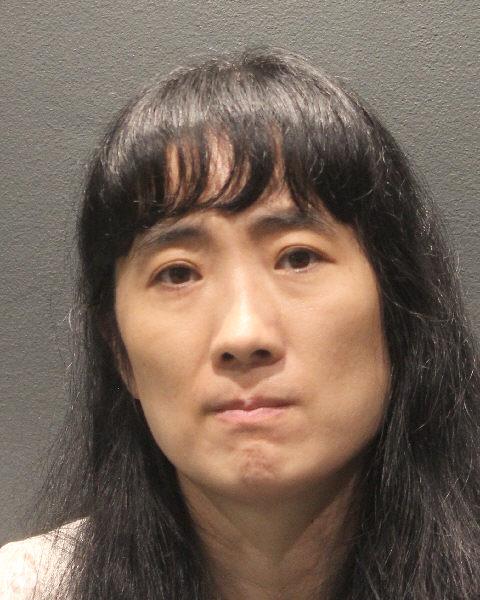 Booking photo of Xiaohong Liu