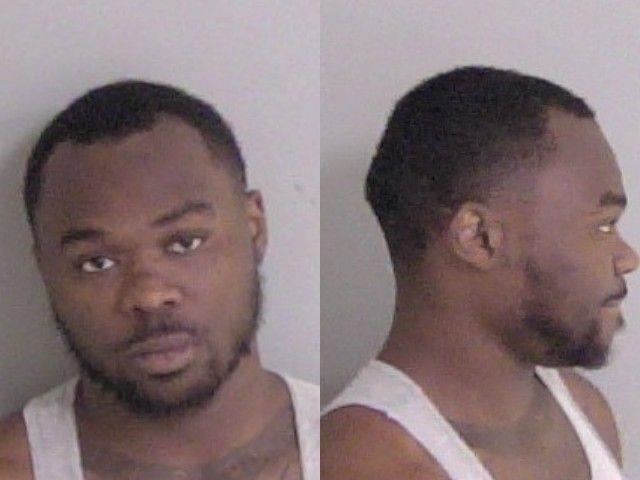 Booking photo of Renee Holloway