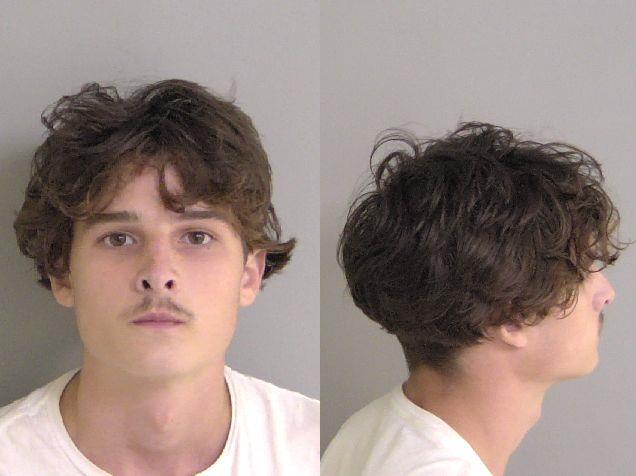 Booking photo of Drew Alexander