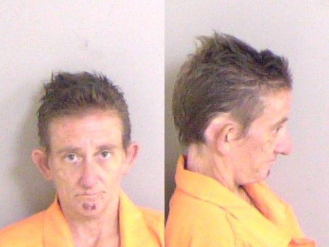 Amy Windham-twidwell booking photo