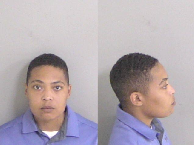 Booking photo of Brittany Henry