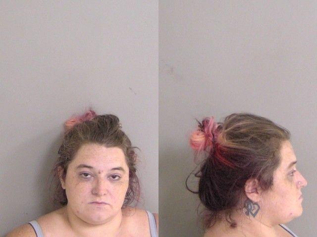 Booking photo of Ashley Hanner