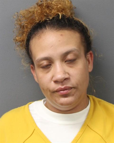 Booking photo of Vanessa Ortiz