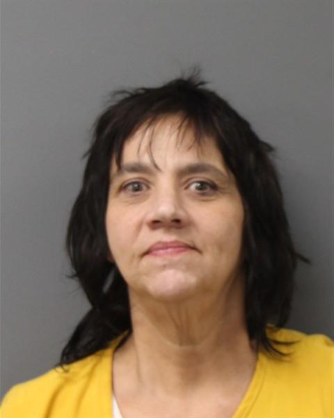 Darlene Tobinus booking photo