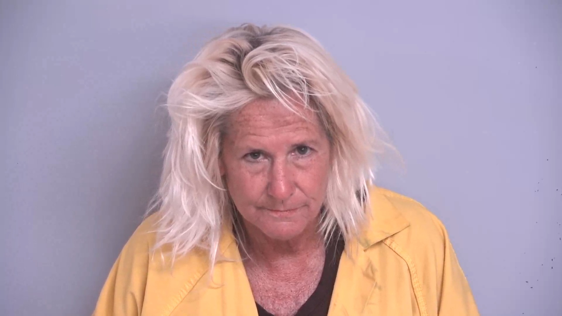 Booking photo of Susan Whitlock