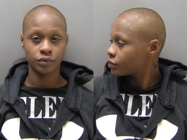 Booking photo of Frederika Farmer