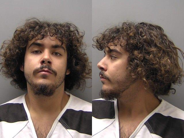 Booking photo of Larsyn Phillipe