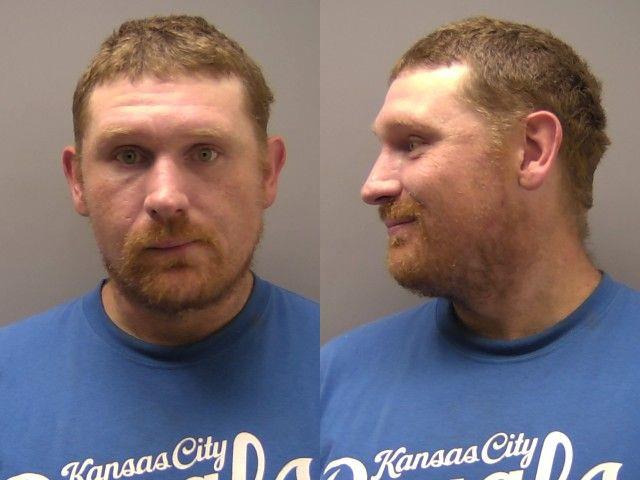 Booking photo of Michael Wedding