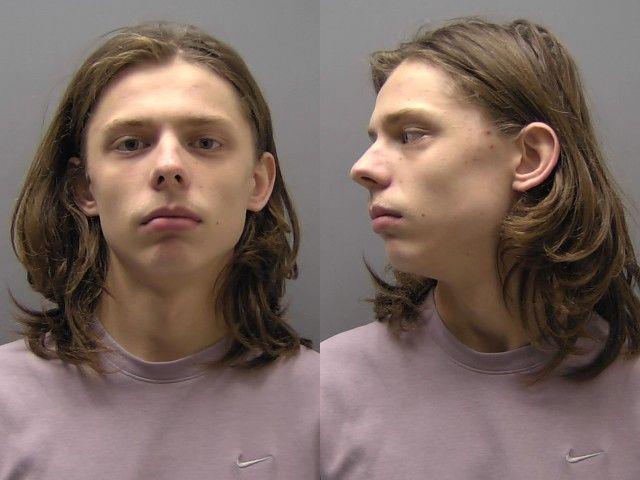 Booking photo of Noah Despain
