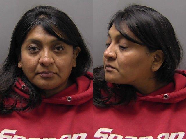 Booking photo of Erika Zubia