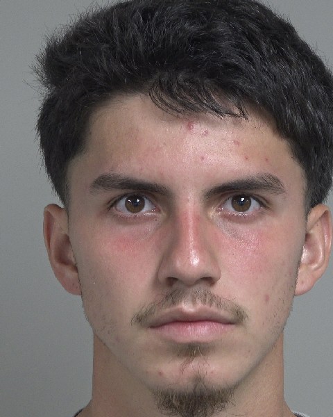 Booking photo of Ricardo Davenport