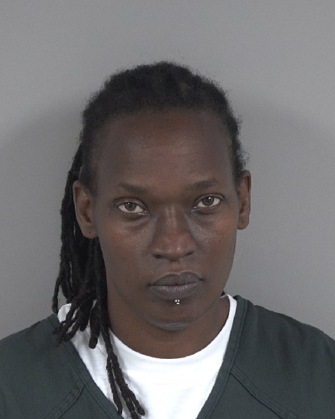Booking photo of Taiana Johnson