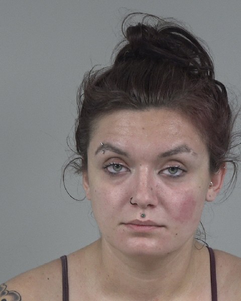 Booking photo of Paige Howard